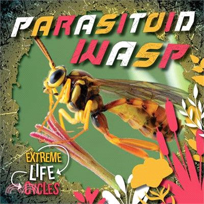 Parasitoid Wasp