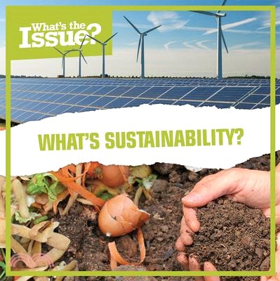 What's Sustainability?