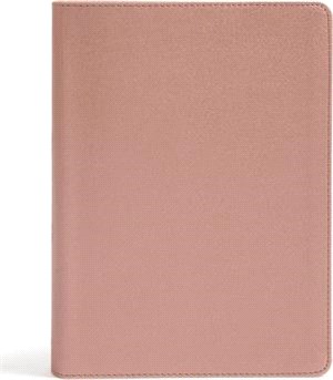 Holy Bible ― Csb She Reads Truth Bible, Rose Gold Leathertouch