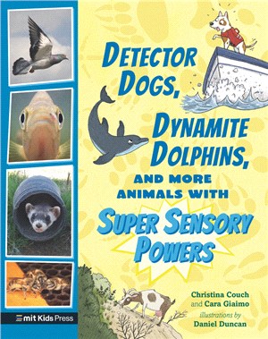 Detector Dogs, Dynamite Dolphins, and More Animals with Super Sensory Powers