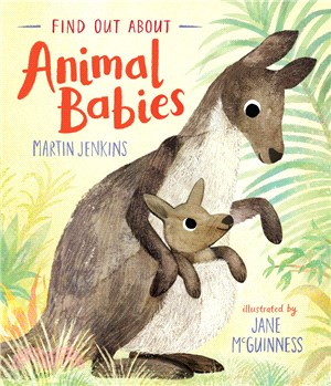 Find out about animal babies...