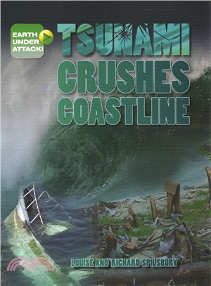 Tsunami Crushes Coastline