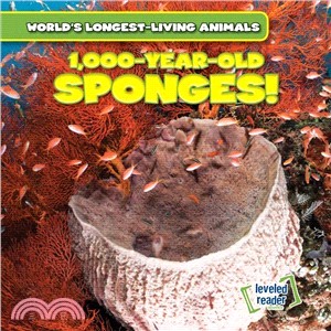 1,000-Year-Old Sponges!