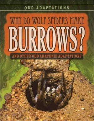 Why Do Wolf Spiders Make Burrows? ― And Other Odd Arachnid Adaptations