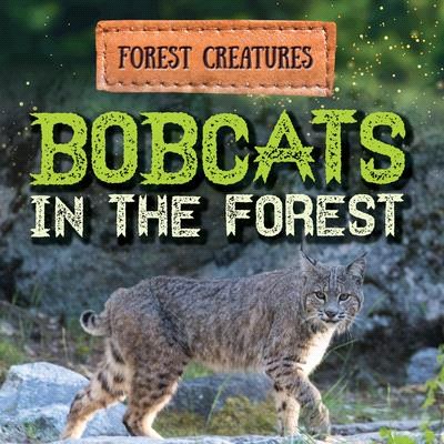 Bobcats in the Forest
