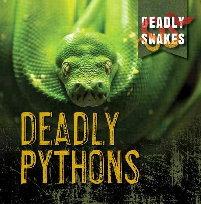 Deadly Pythons
