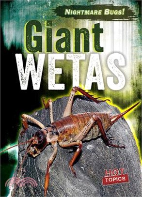 Giant Wetas