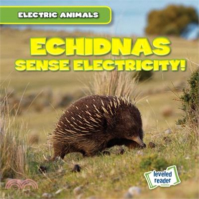 Echidnas Sense Electricity!