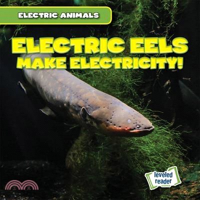 Electric Eels Make Electricity!