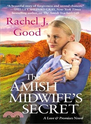 The Amish Midwife's Secret