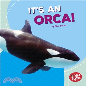 It's an Orca!