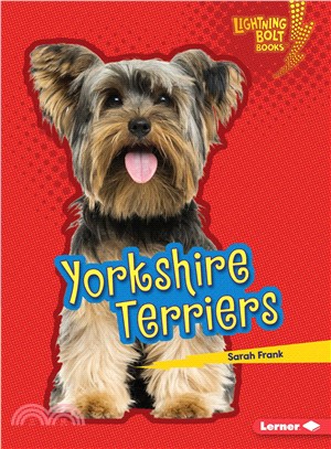 Yorkshire Terriers