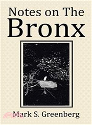 Notes on the Bronx