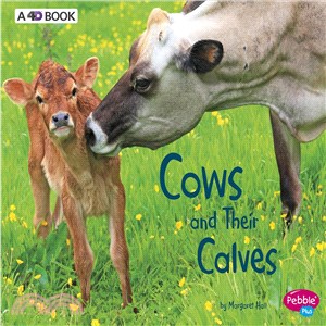 Cows and their calves /