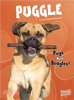 Puggle ― Pugs Meet Beagles!