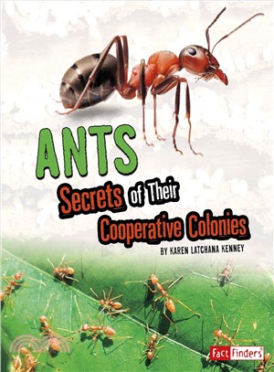 Ants ― Secrets of Their Cooperative Colonies