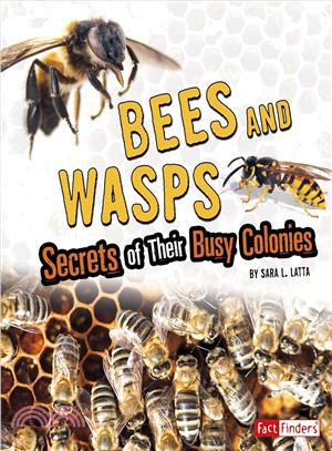 Bees and Wasps ― Secrets of Their Busy Colonies