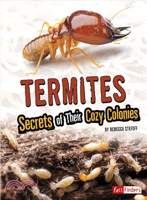 Termites ― Secrets of Their Cozy Colonies
