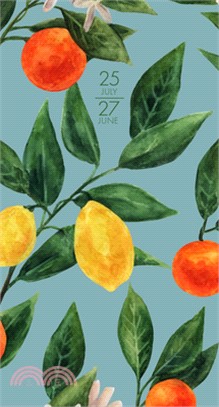 Colorful Citrus Academic July 2025 - June 2027 2-Year Pocket Planner