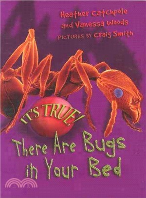 It's True! There Are Bugs in Your Bed