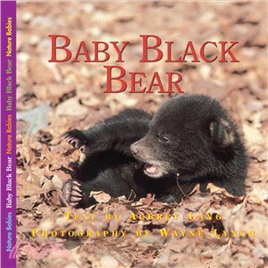 The Adventures of Baby Bear