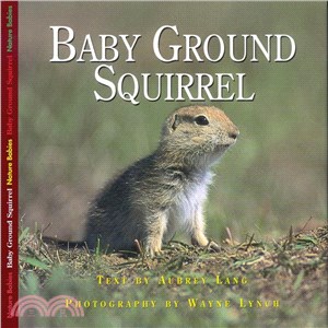 Baby Ground Squirrel