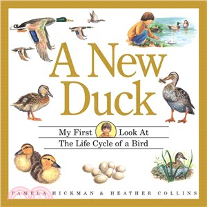 A New Duck: My First Look at the Life Cycle of a Bird