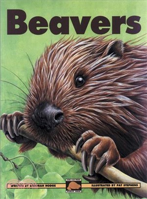 Beavers /