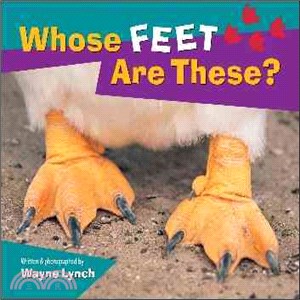 Whose feet are these?