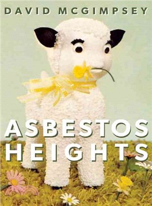Asbestos Heights ─ The Canonical Notebooks