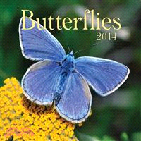 Butterflies 2014 Calendar