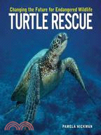 Turtle Rescue: Changing The Future For Endangered Wildlife
