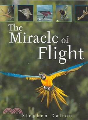 The Miracle Of Flight