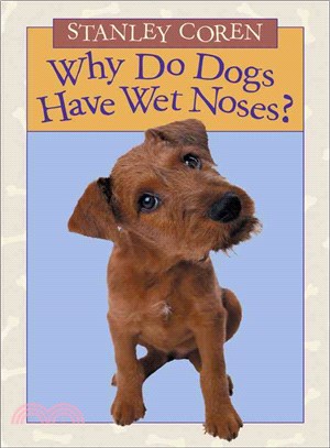 Why Do Dogs Have Wet Noses?