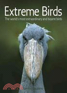 Extreme Birds: The World's Most Extraordinary and Bizarre Birds