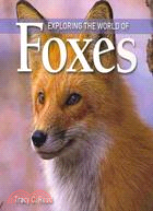 Exploring the World of Foxes