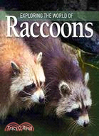 Exploring the World of Raccoons