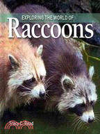 Exploring the World of Raccoons