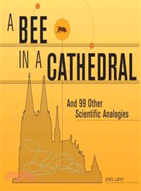 A Bee in a Cathedral ─ And 99 Other Scientific Analogies