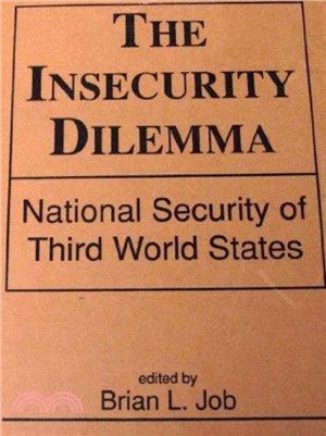 Insecurity Dilemma：National Security of Third World States