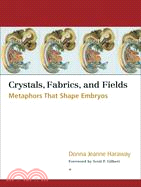 Crystals, Fabrics, and Fields ─ Metaphors That Shape Embryos
