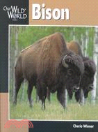 Bison