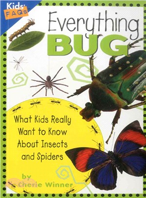 Everything Bug ─ What Kids Really Want to Know About Insects and Spiders