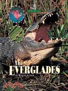 The Everglades