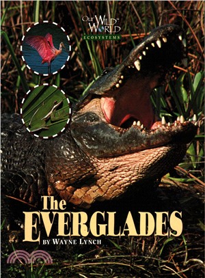 The Everglades