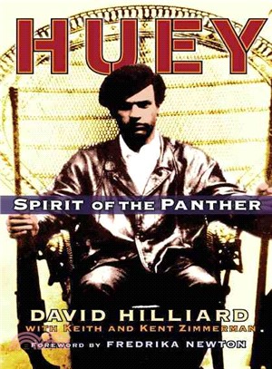 Huey ─ Spirit of the Panther