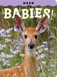 Deer Babies