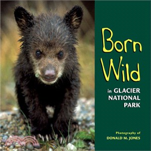 Born Wild in Glacier National Park