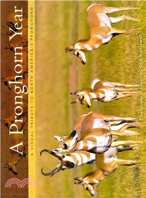 Pronghorn Year ― A Visual Tribute to North America's Pronghorn