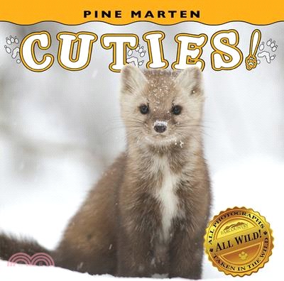 Pine Marten Cuties!